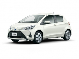 Коврик в багажник Toyota Vitz III (XP130) (правый руль) 2010-2019
