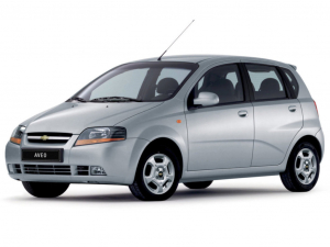 Коврики в салон (2 ряда) Chevrolet Aveo 2003-2012 (хэчбек)