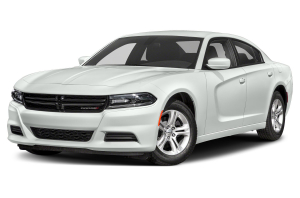 Коврик в багажник Dodge Charger VI (LD) 2014-н.в. 