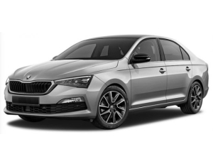 Коврики в салон (2 ряда) Skoda Rapid 2020-н.в.