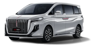 Коврик в багажник Hongqi HQ9 2022-н.в.*