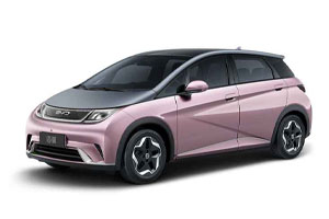 BYD Dolphin 2021-н.в